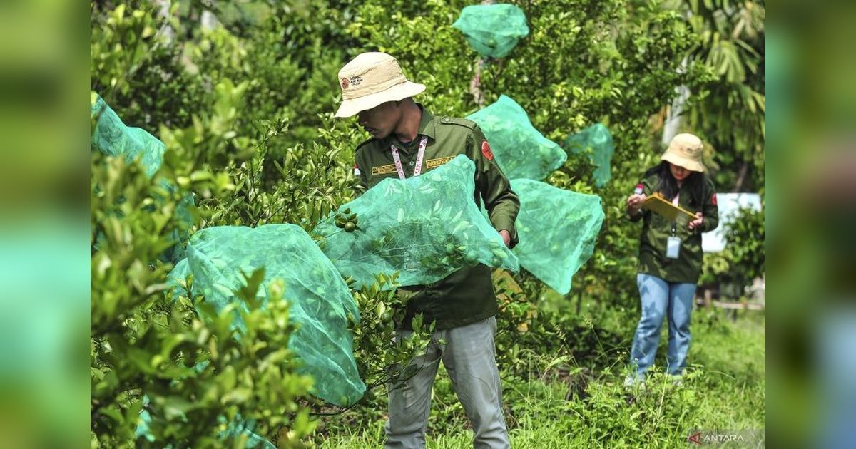 Ilmu Komunikasi: Benteng Kritis di Era Algoritma dan Media Sosial
