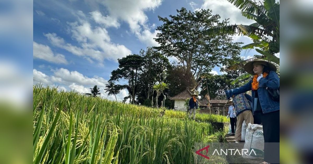 Pertamina Perkenalkan Desa Energi Berdikari Bali kepada Jurnalis Aljazair