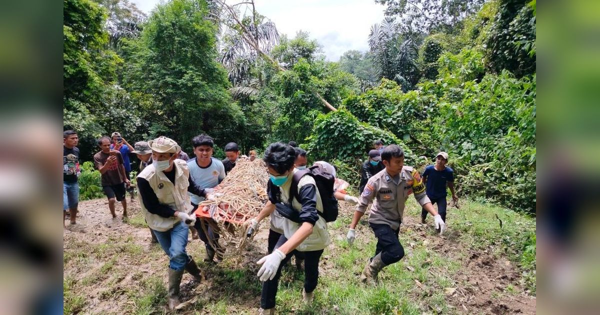 BKSDA Sumbar Tangani 11 Konflik Satwa Liar di Agam dalam Empat Bulan