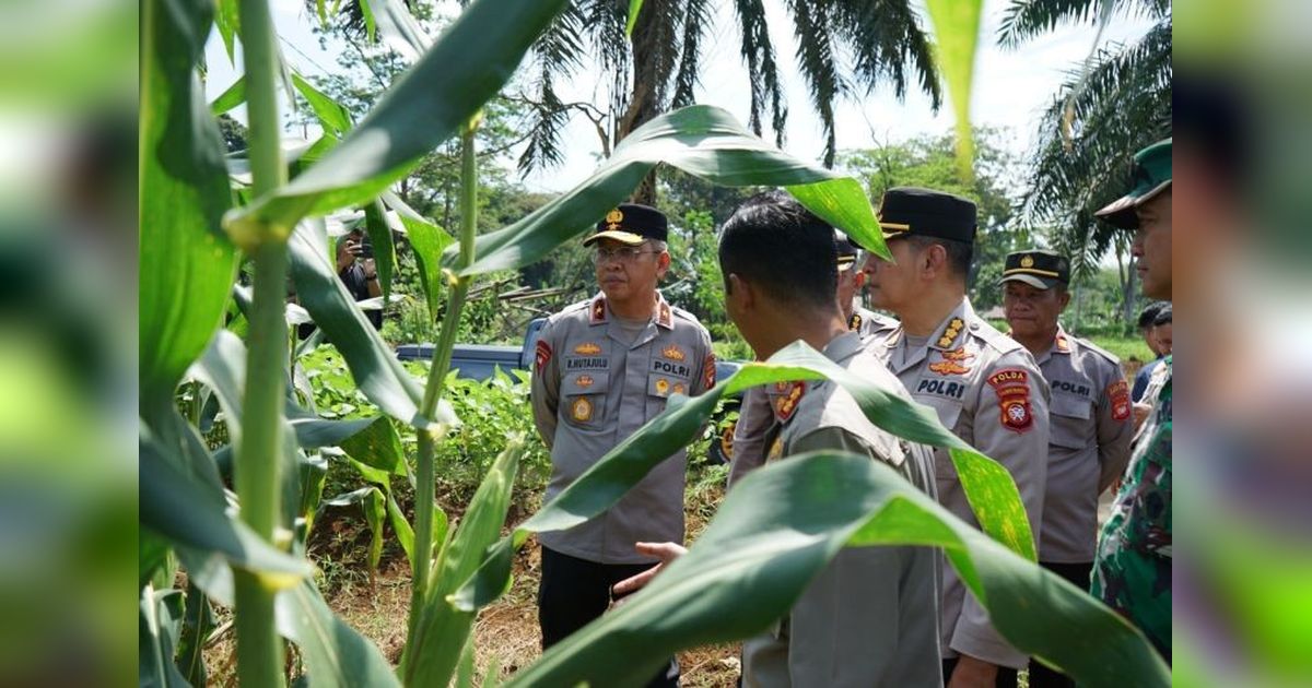 Sinergi TNI-Polri Dongkrak Ketahanan Pangan Nasional di Bengkayang