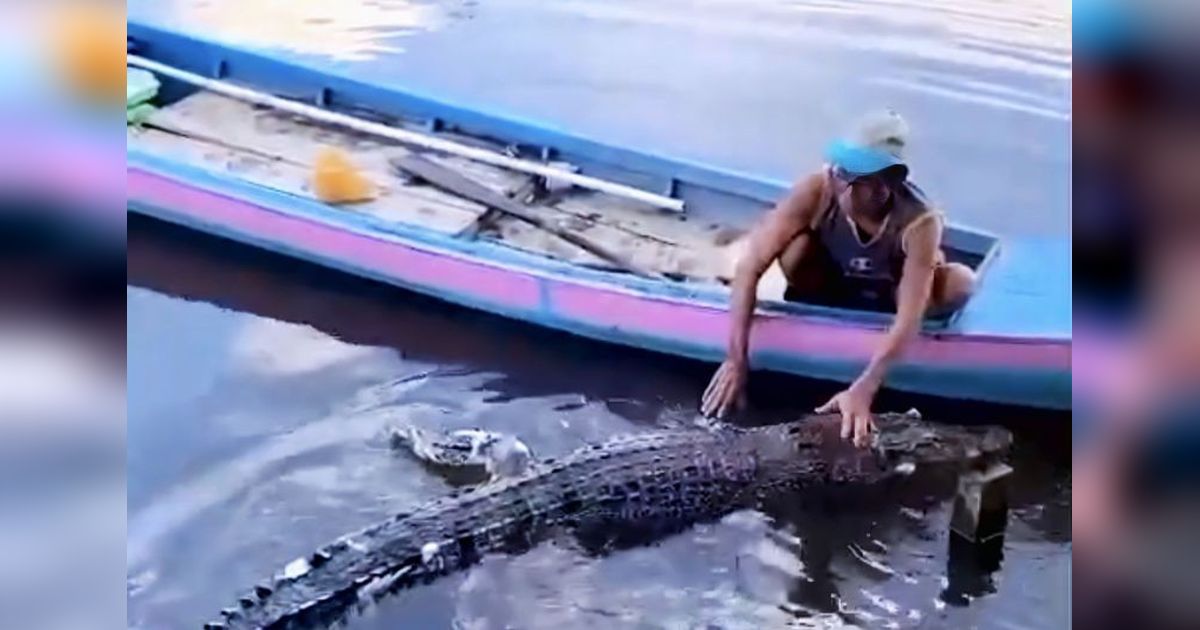 BKSDA Sampit Benarkan Penemuan Bangkai Buaya Terjerat Jala di Kotim