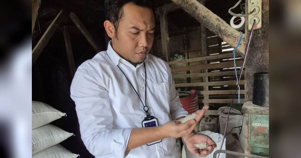 Target Serapan Beras Bulog Rejang Lebong Meningkat Jadi 888 Ton