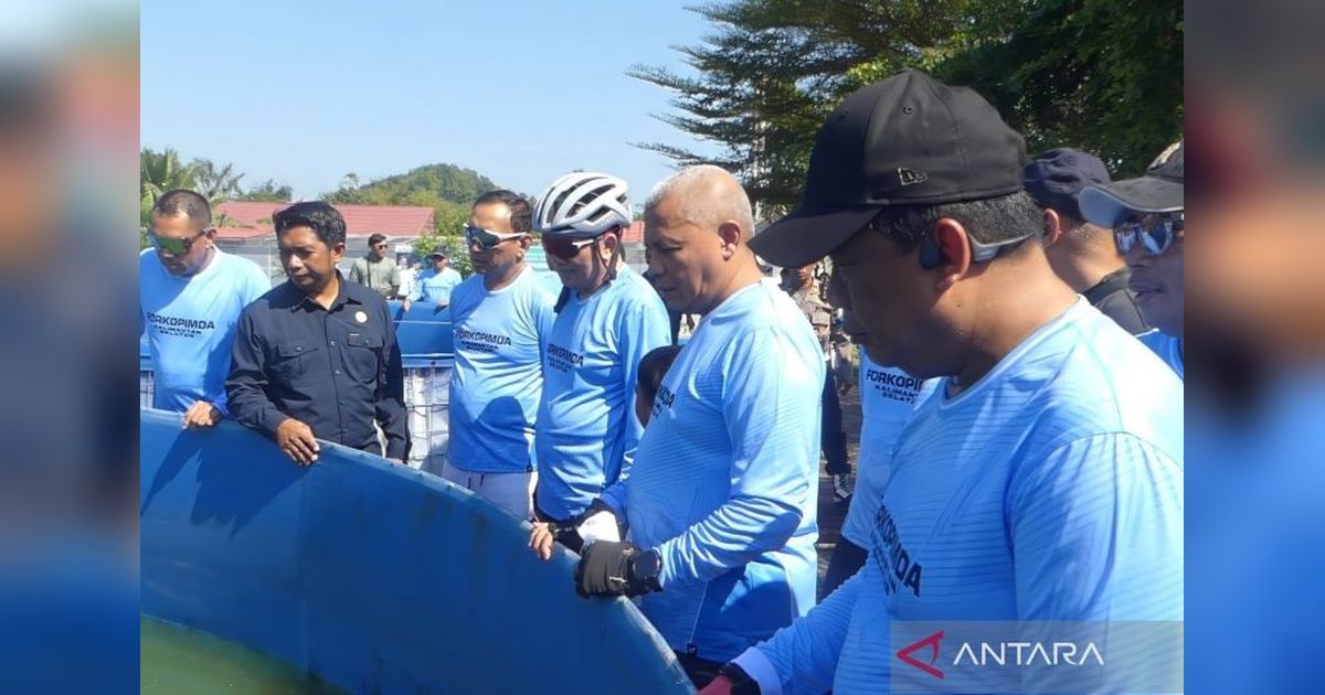 Gubernur Kalsel Dorong Peningkatan Produksi Ikan Haruan untuk Albumin