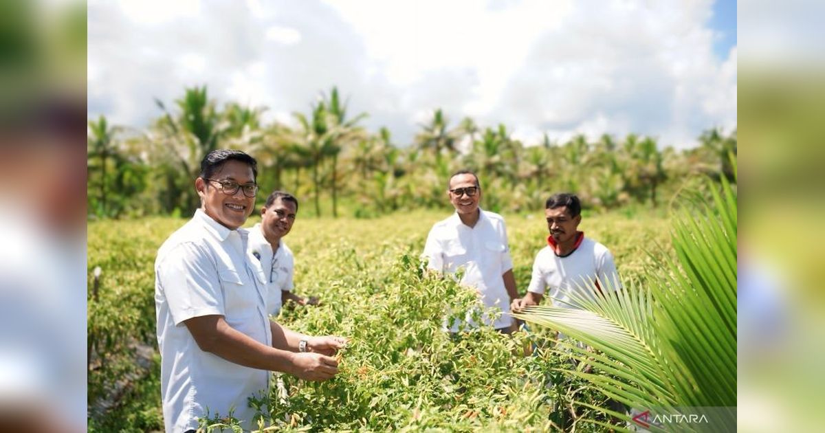 BI Dukung Ketahanan Pangan Talaud lewat Pertanian Modern