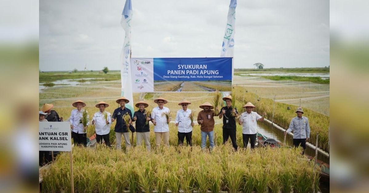OJK Kalsel Dorong Pertumbuhan Ekonomi Lewat Inovasi Padi Apung