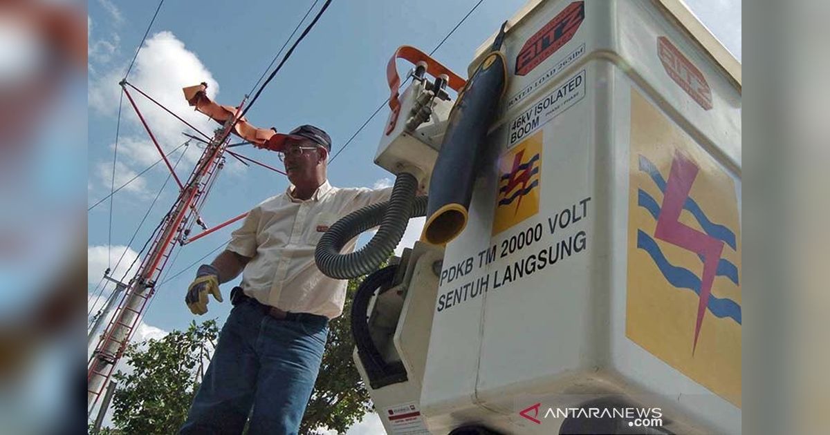 150 Aduan Warga Bali Banjiri YLPK Akibat Pemadaman Listrik, Kerugian Capai Rp200 Juta