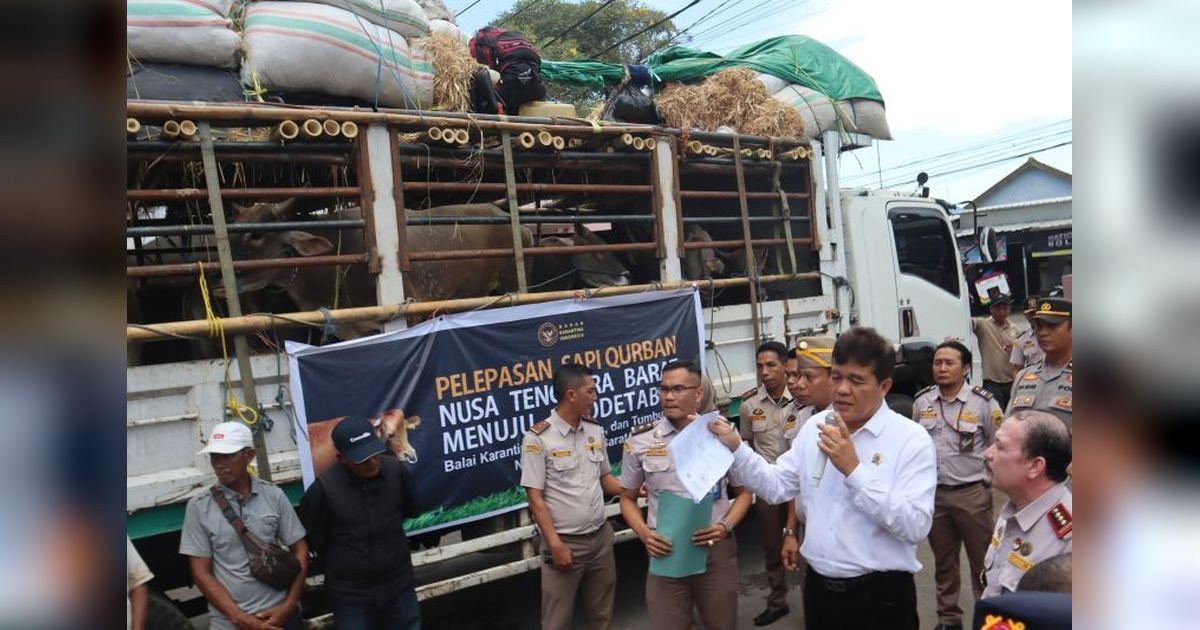 Kepala Barantin Tinjau Pengiriman Hewan Kurban di NTB: Jamin Kesehatan Ternak dan Kelancaran Distribusi