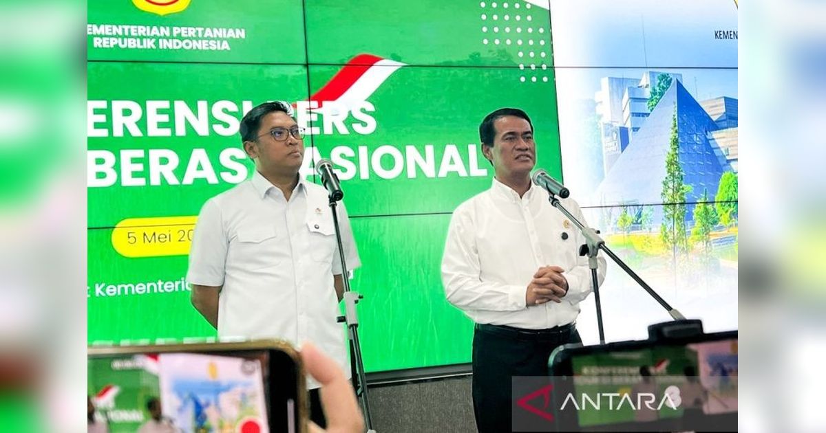 Stok Beras Indonesia Capai Puncak 57 Tahun Terakhir: 3,5 Juta Ton!