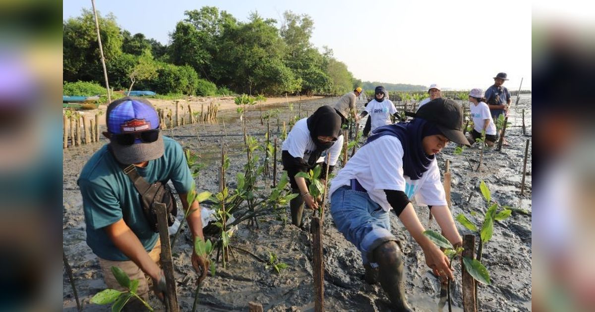 Indonesia: Dukungan Tertinggi Dunia untuk Aksi Iklim, Survei Global Ungkap Fakta Mengejutkan