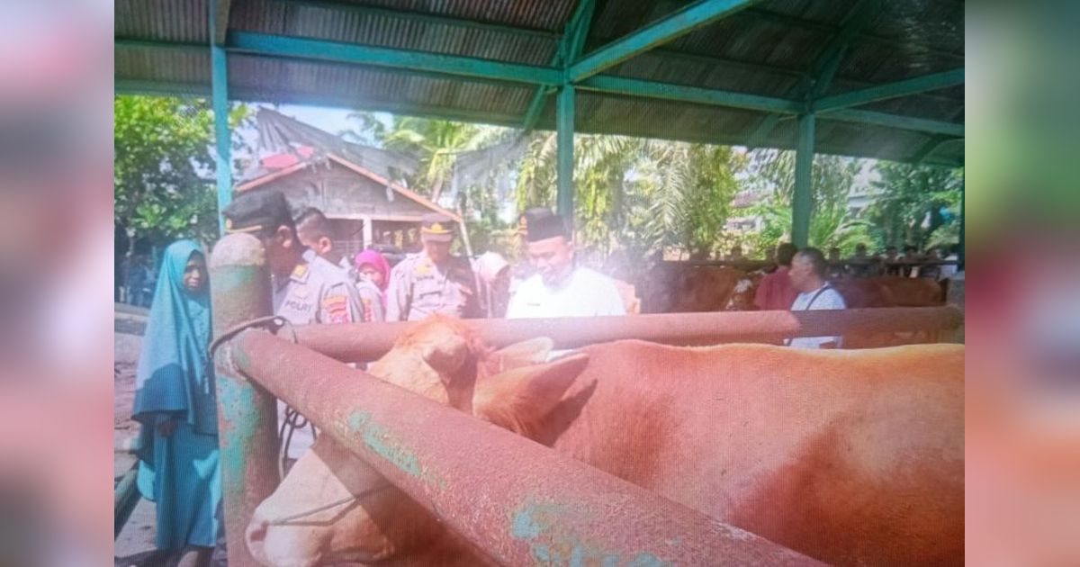 Pasaman Barat Pastikan Hewan Kurban Sehat dan Layak: Wajib Miliki SKKH