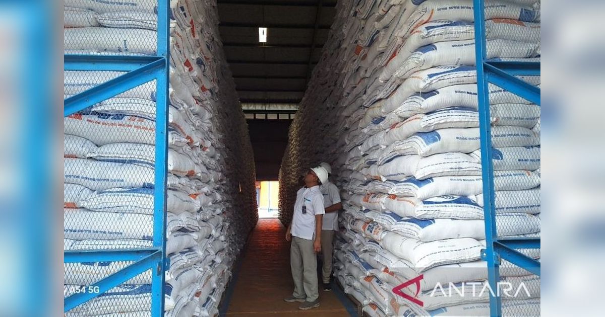 Bulog Aceh Capai Serapan Beras 86 Ribu Ton, Gudang Penuh!
