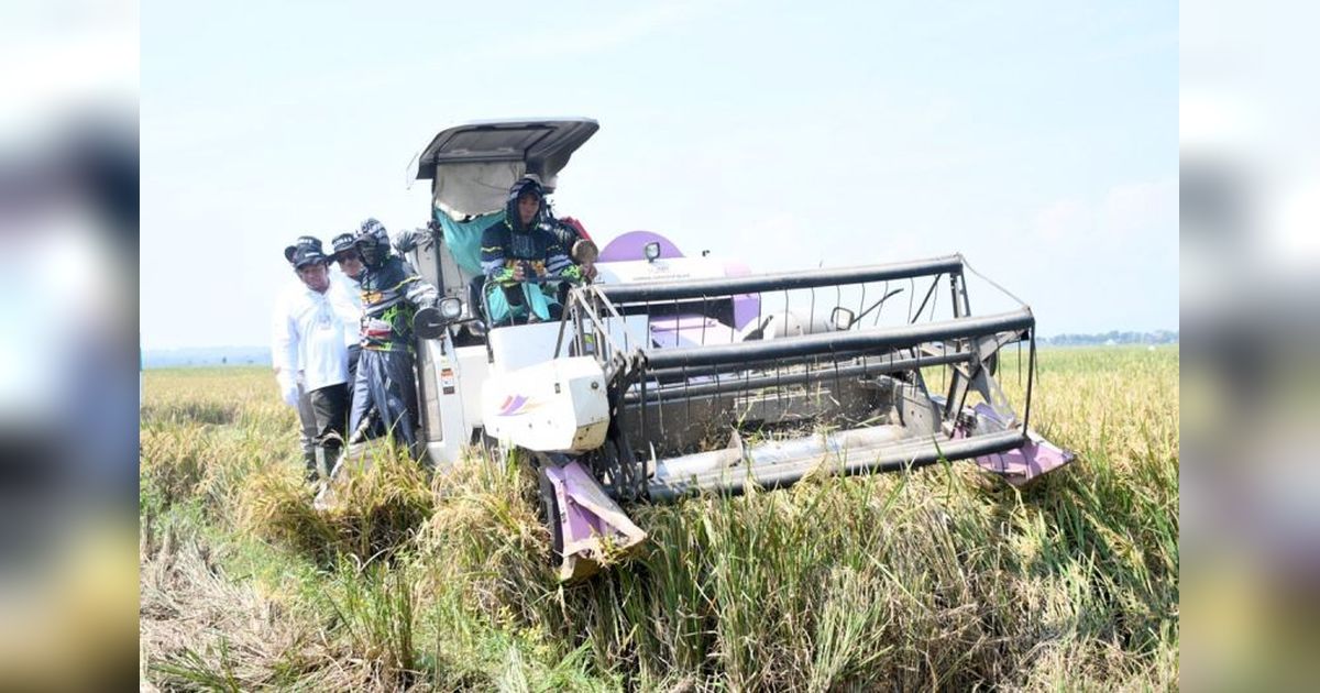 Lumbung Pangan Baznas: Ciptakan Kemandirian Pangan dan Sejahterakan Petani