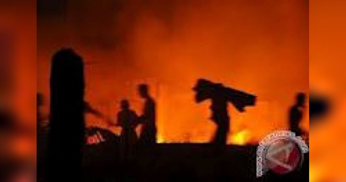 Kebakaran Hebat Hanguskan Tujuh Ruko di Bengkayang, Kerugian Ditaksir Miliaran Rupiah