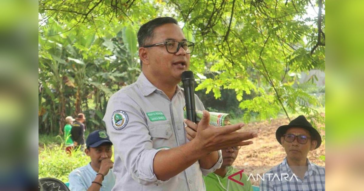 Pemkab Kuningan Dukung Budi Daya Kedelai, Dorong Pertanian Modern