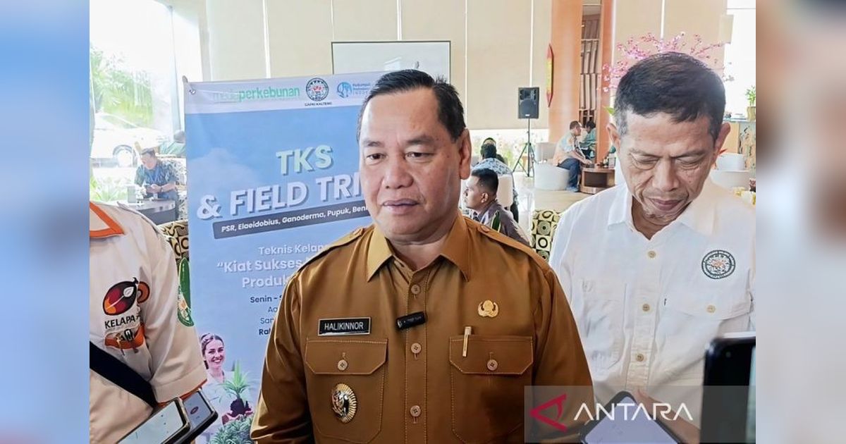 Kotim Siapkan Lahan 5 Hektare untuk Sekolah Rakyat, Program Pendidikan Gratis dari Prabowo