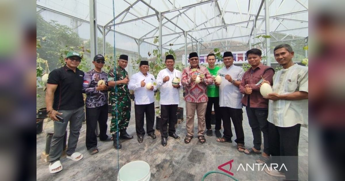 Eduwisata Petik Melon Organik di Bekasi: Petani Sukses Ciptakan Agrowisata Edukatif