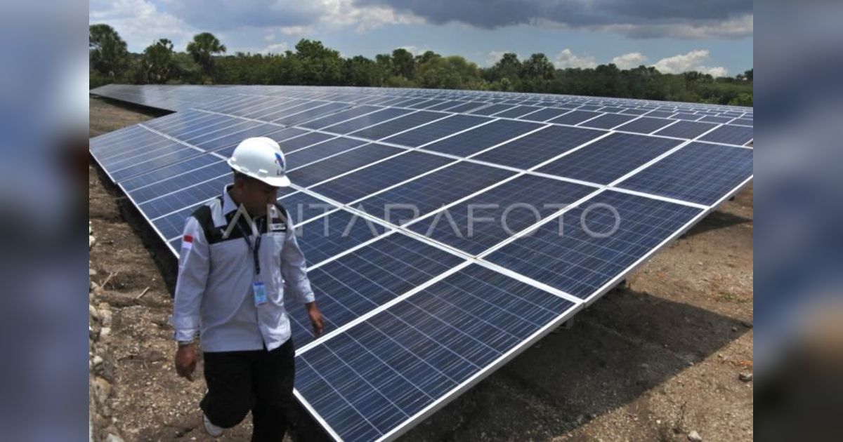 Potensi EBT di Pulau Timor Capai 30 GW, Solusi Energi Berkelanjutan untuk NTT?