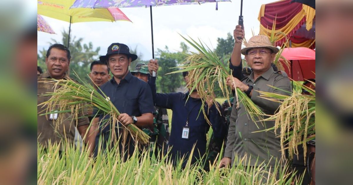 Pemkab Buleleng Prioritaskan Pertanian untuk Ketahanan Pangan Nasional