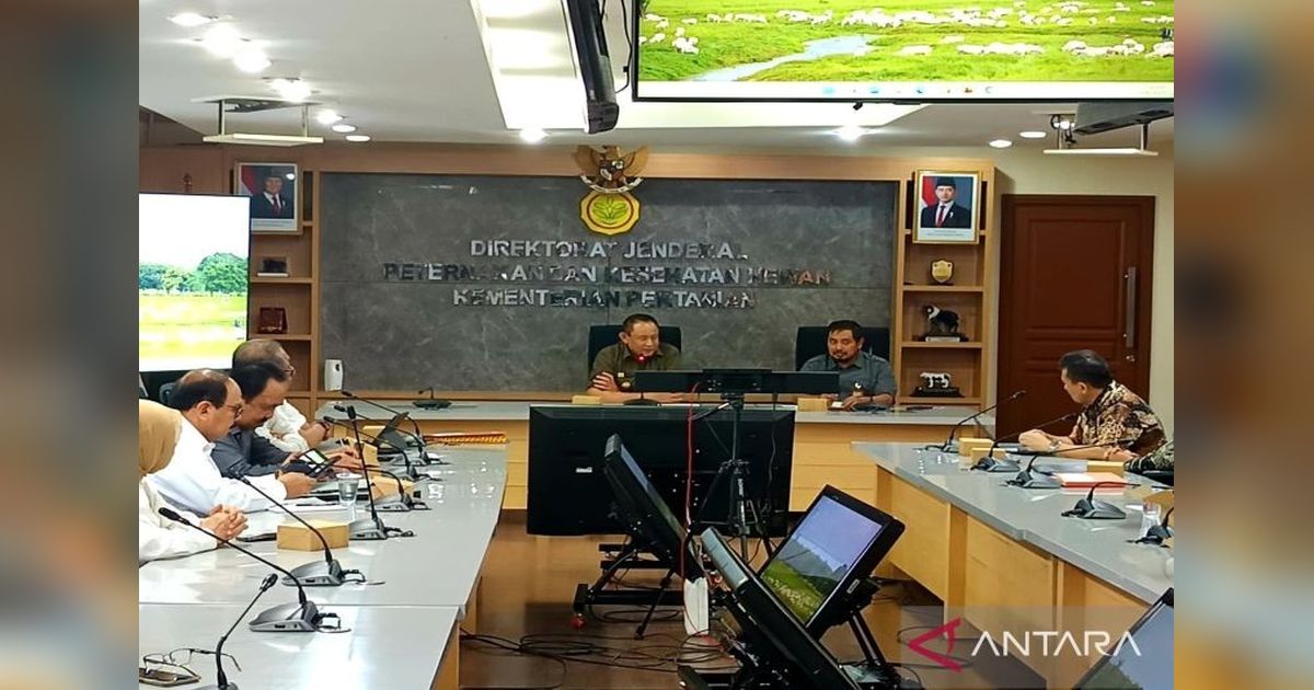 Gorontalo Dorong Hilirisasi Jagung: Tingkatkan Nilai Tambah dan Ciptakan Lapangan Kerja