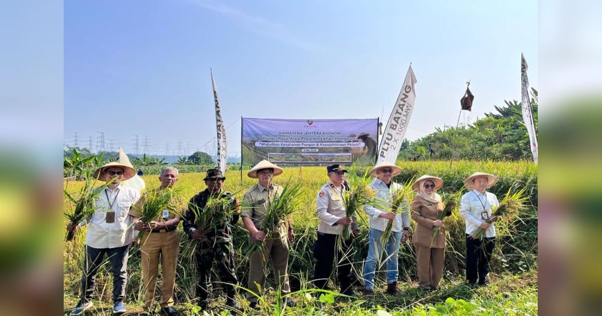 Panen Raya Padi di Lahan Pengganti PLTU Batang: Wujud Sinergi BUMN dan Pemerintah