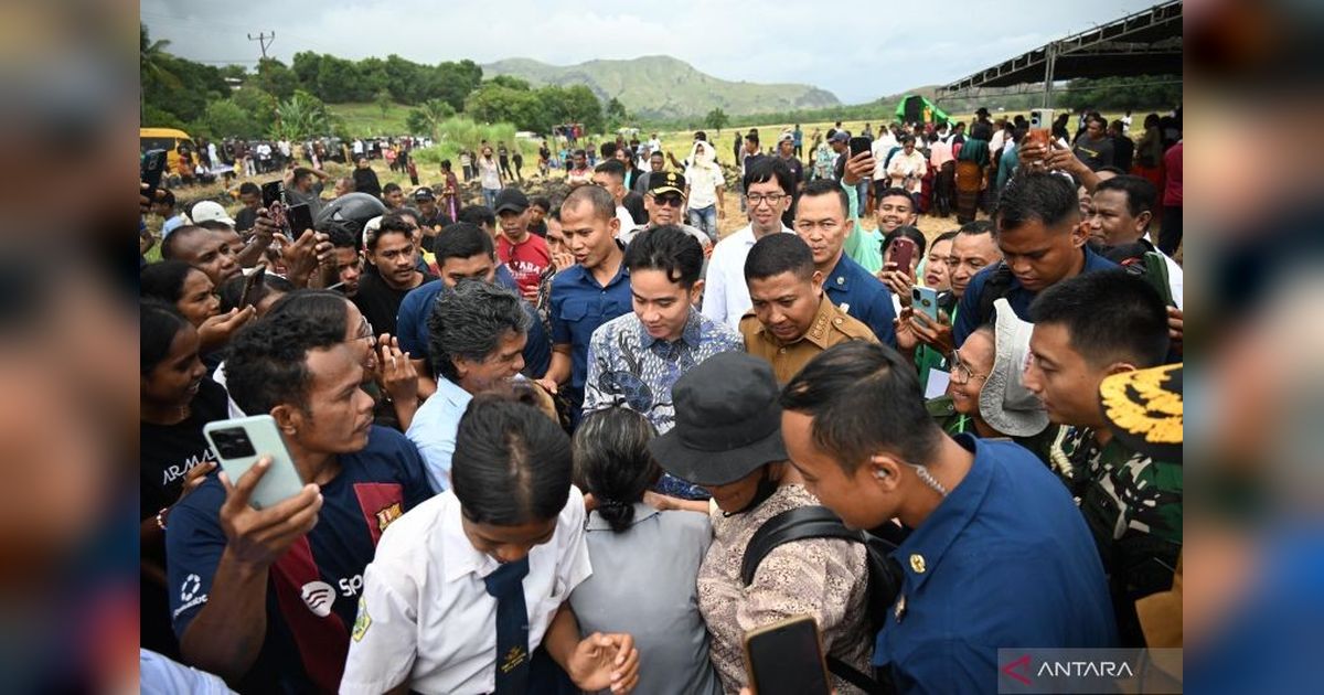 Wapres Gibran Bantu Petani Sikka, NTT: Traktor dan Pompa Air untuk Tingkatkan Produktivitas