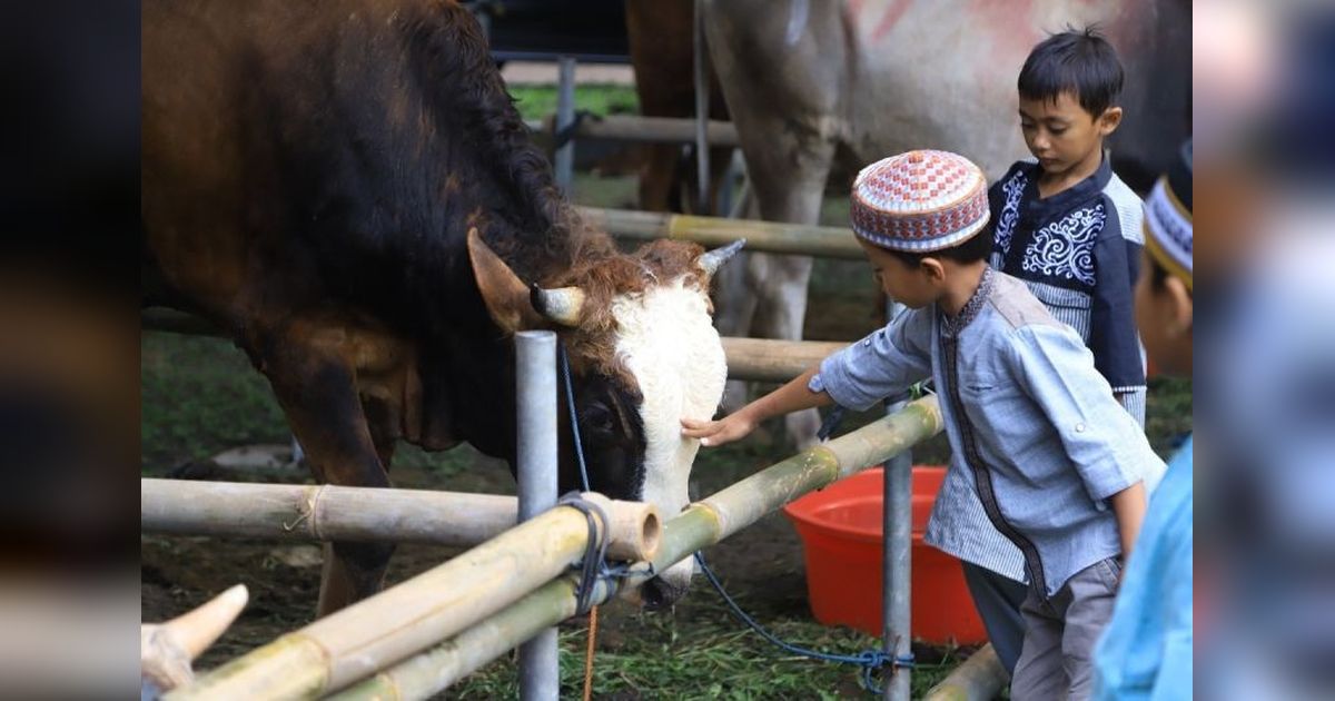 BAZNAS Kota Tangerang Luncurkan Program Kurban Berkah, Salurkan Hewan Kurban hingga ke Palestina