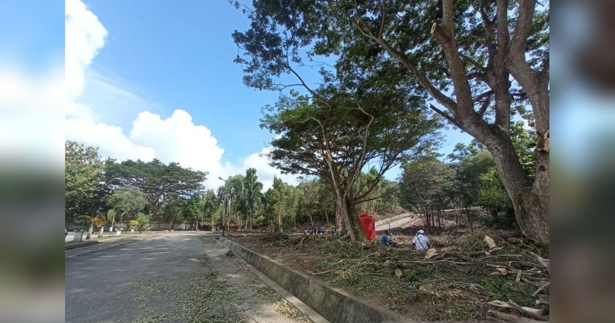 Dinkes Jayapura: Kebersihan Lingkungan Kerja, Titik Awal Pembangunan Kesehatan