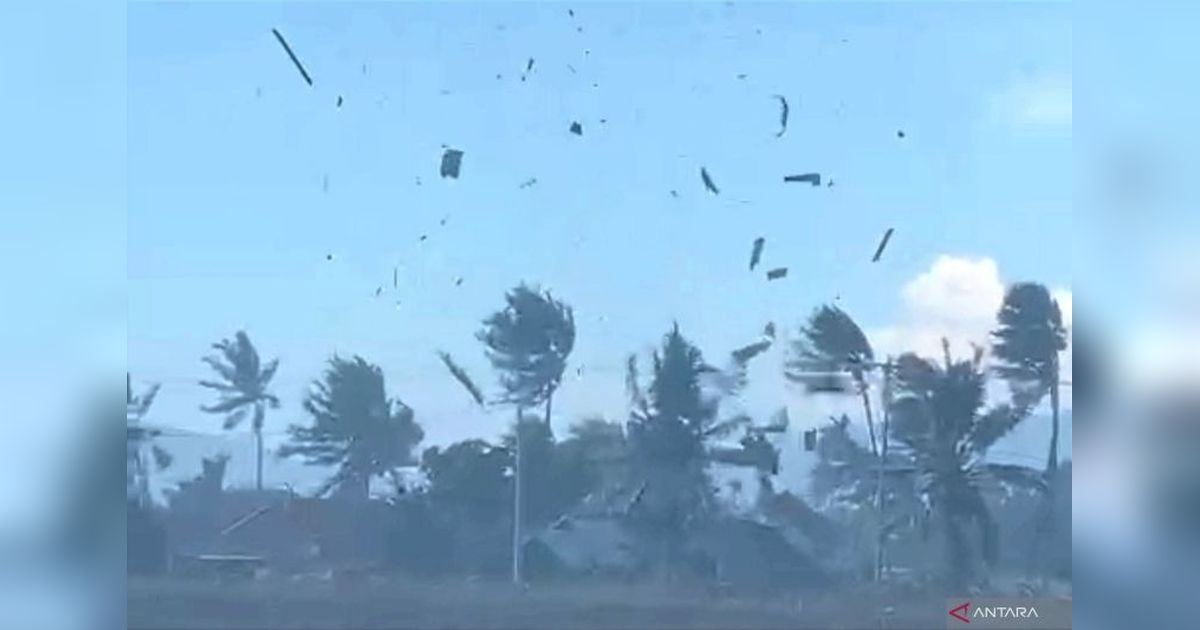 Puting Beliung Gorontalo: 248 Jiwa Terdampak, BNPB Terjunkan Tim Bantuan