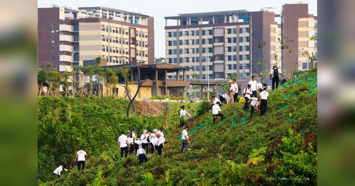 OIKN Hijaukan 80 Hektare Lahan IKN: Wujudkan Kota Hutan Inklusif