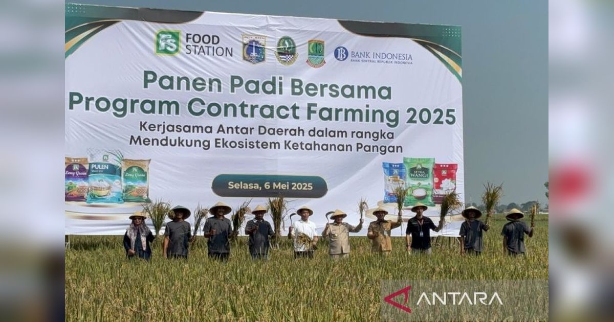 DKI Jakarta-Karawang Jalin Kerja Sama Ketahanan Pangan, Targetkan Ribuan Hektare Sawah