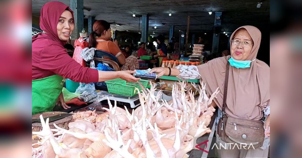 Harga Daging Ayam Turun, Cabai Rawit Juga Murah! Cek Update Harga Pangan Terbaru dari Bapanas