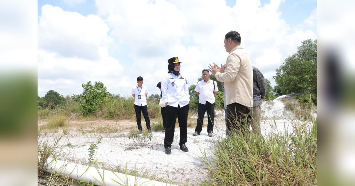 Wagub Babel Dorong Tanam Singkong di Belitung Timur, Penuhi Kebutuhan Pabrik Tapioka