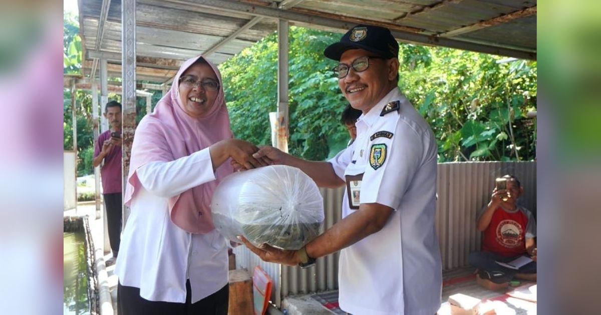 Ribuan Benih Ikan Ditebar di Sungai Bengawan Madiun untuk Jaga Ekosistem