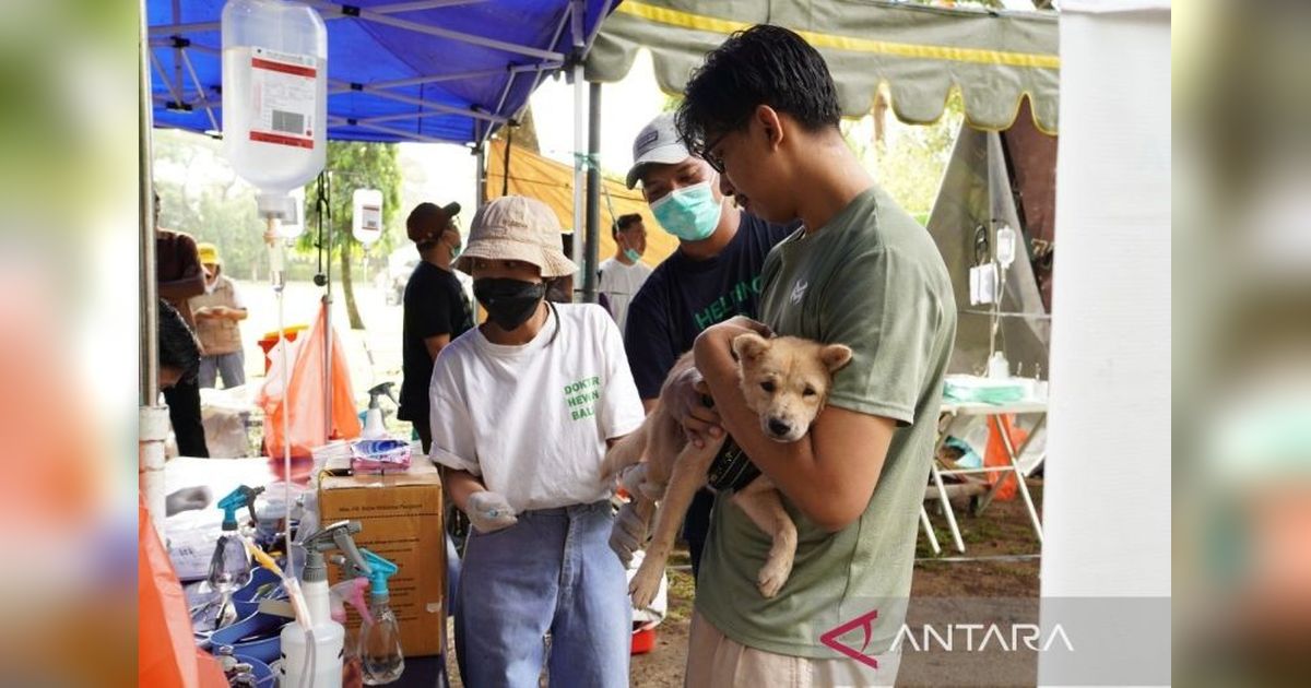ITDC Fasilitasi Vaksinasi Rabies di Bali: Langkah Nyata Menuju Pariwisata Berkelanjutan