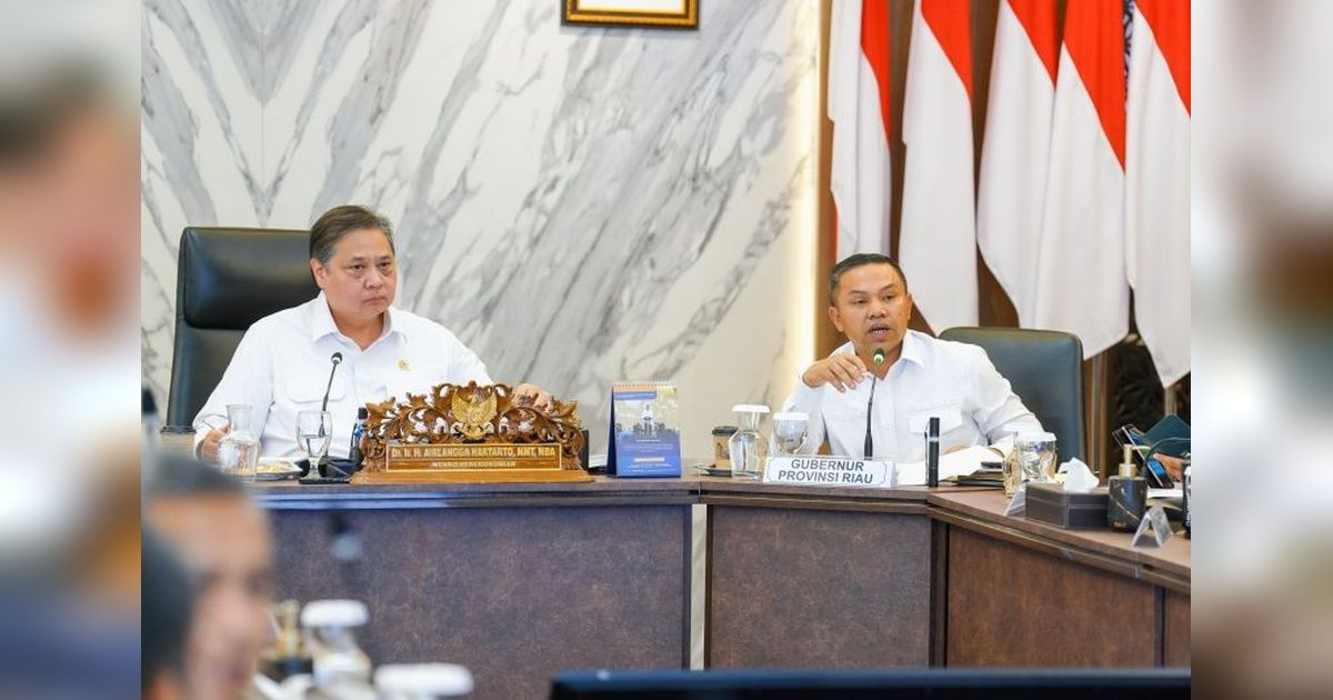 Menko Airlangga Dorong Riau Garap Potensi Industri Lokal, Sasar Pasar Global