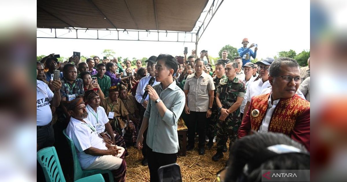 Wapres Gibran Salurkan Alsintan di Kupang, Dorong Modernisasi Pertanian