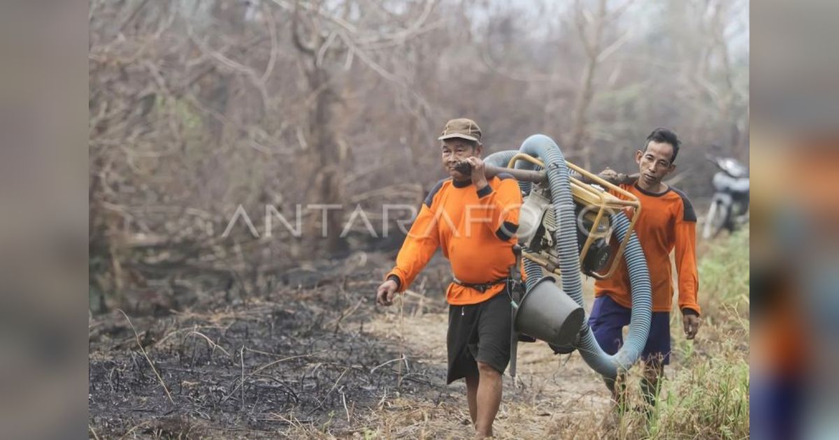 Kalteng Bentuk Masyarakat Peduli Api Antisipasi Karhutla