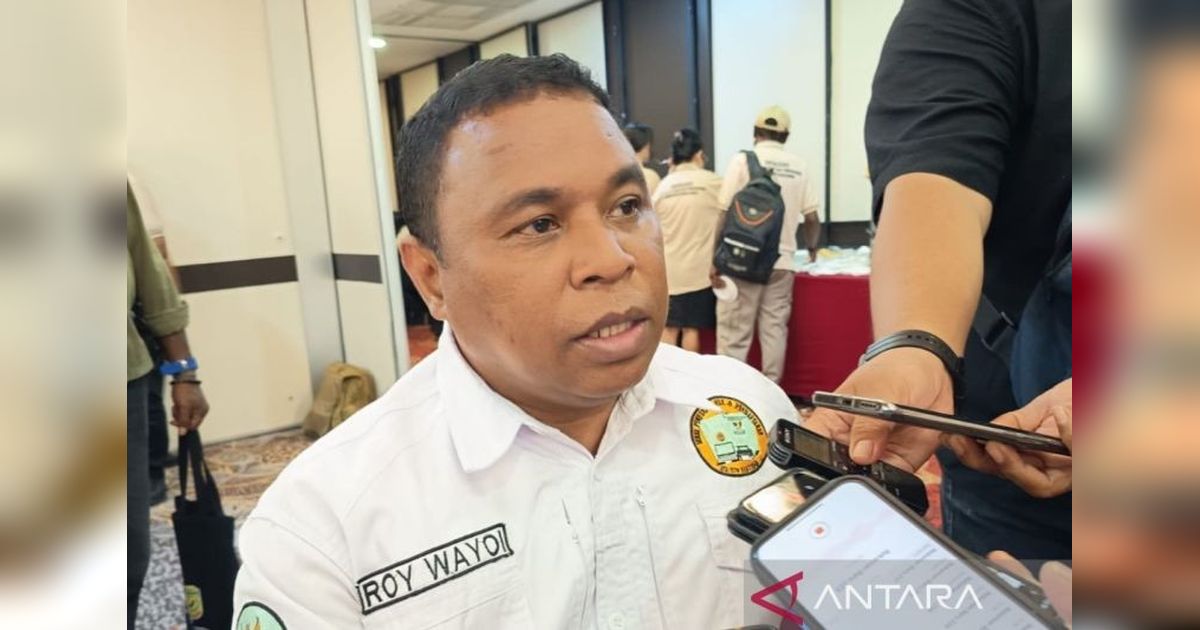 Hibah Tanah Adat Papua: Kesepakatan Adat Kunci Utama, Kata BPN