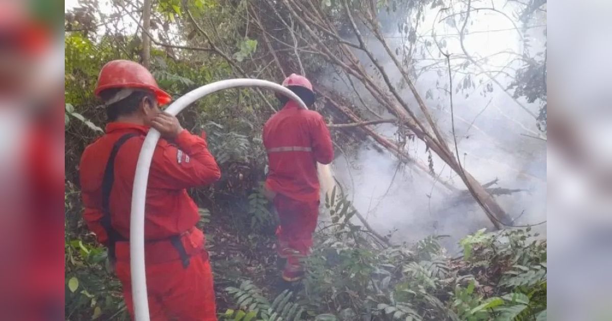BPBD Sumsel: Perusahaan Perkebunan Harus Siaga Hadapi Karhutla