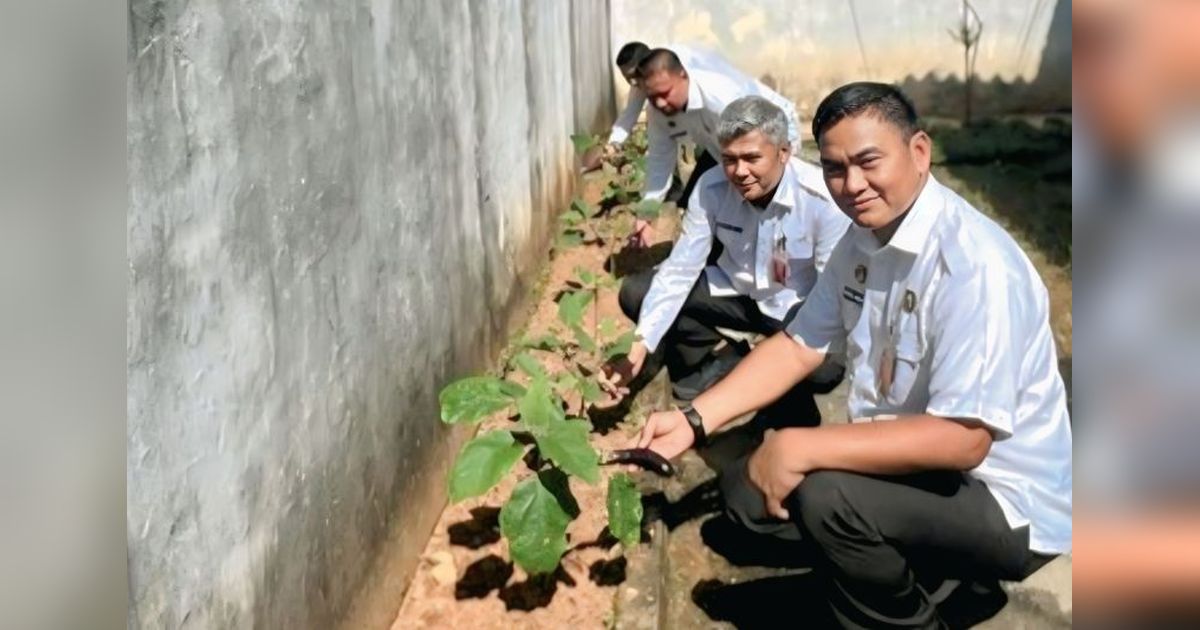 Warga Binaan Rutan Baturaja Petik Hasil: 10 Kg Terong dari Kebun Tahanan!