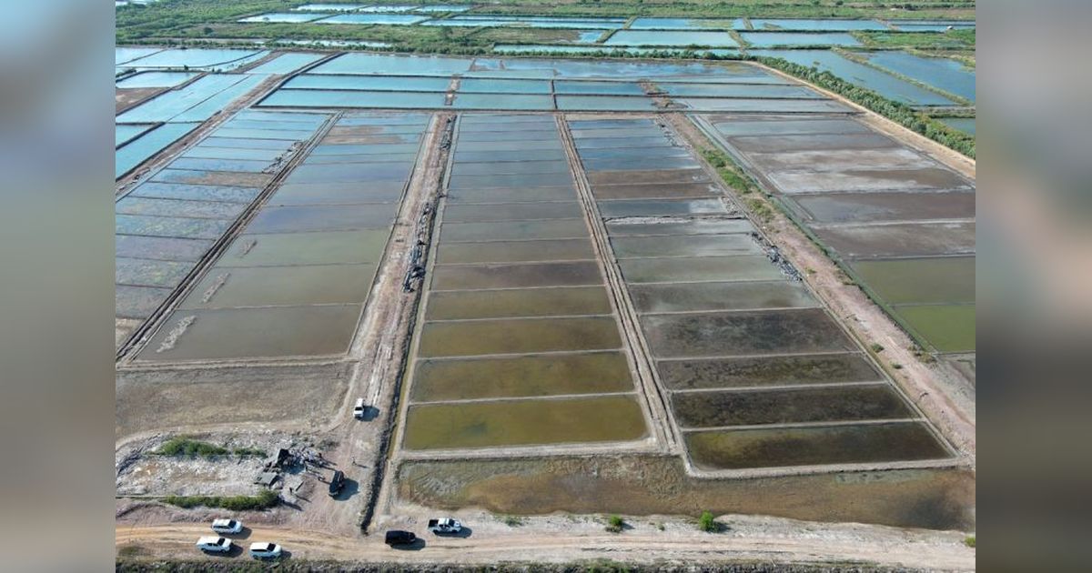 NTB Berpotensi Jadi Pusat Produksi Garam Nasional, Siap Wujudkan Swasembada Garam 2027