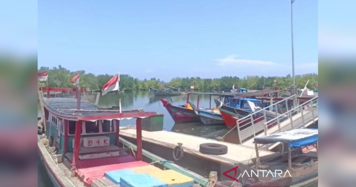 Pemkot Bengkulu Imbau Nelayan Stop Tangkap Benih Lobster, Ancaman Hukum Mengintai!