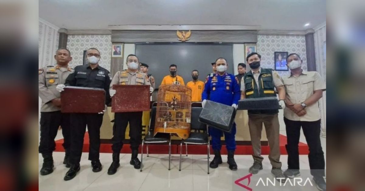 Polres Meranti Gagalkan Penyelundupan 1.680 Burung Kacer dari Malaysia