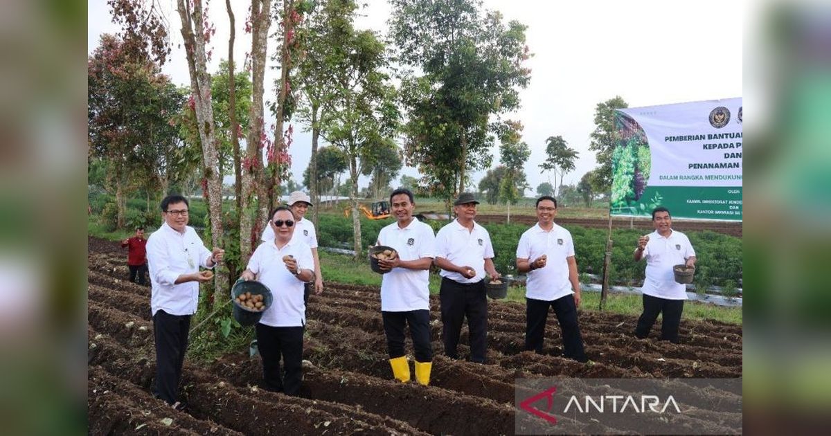 Imigrasi Jambi Beri Bantuan Bibit Kentang untuk Petani Kerinci, Wujud Nyata Ketahanan Pangan