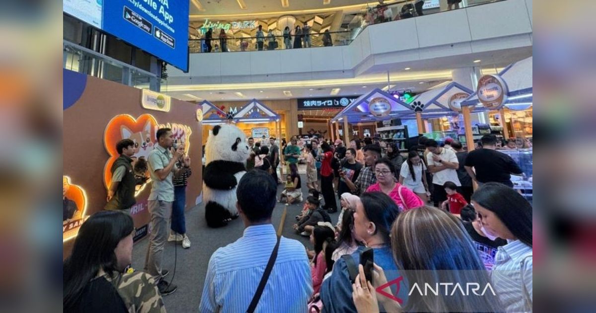 Taman Safari Bogor Tawarkan Promo Spesial di HAPPY PAW, Harga Tiket Lebih Hemat!