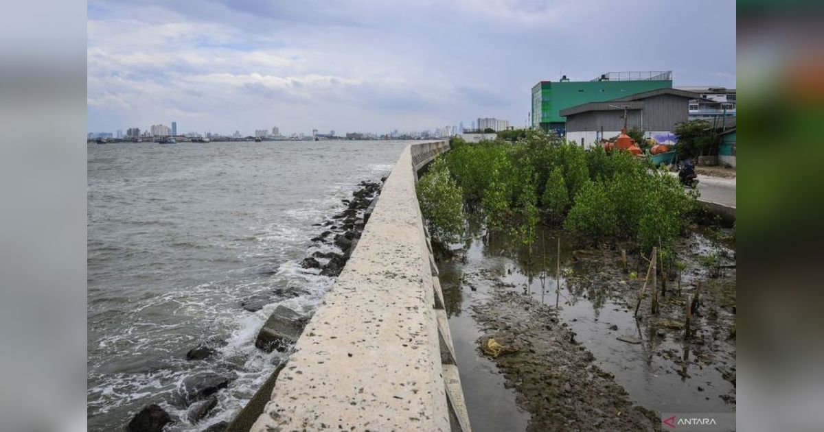 Kemenko IPK: Koordinasi Proyek Giant Sea Wall Terus Berjalan