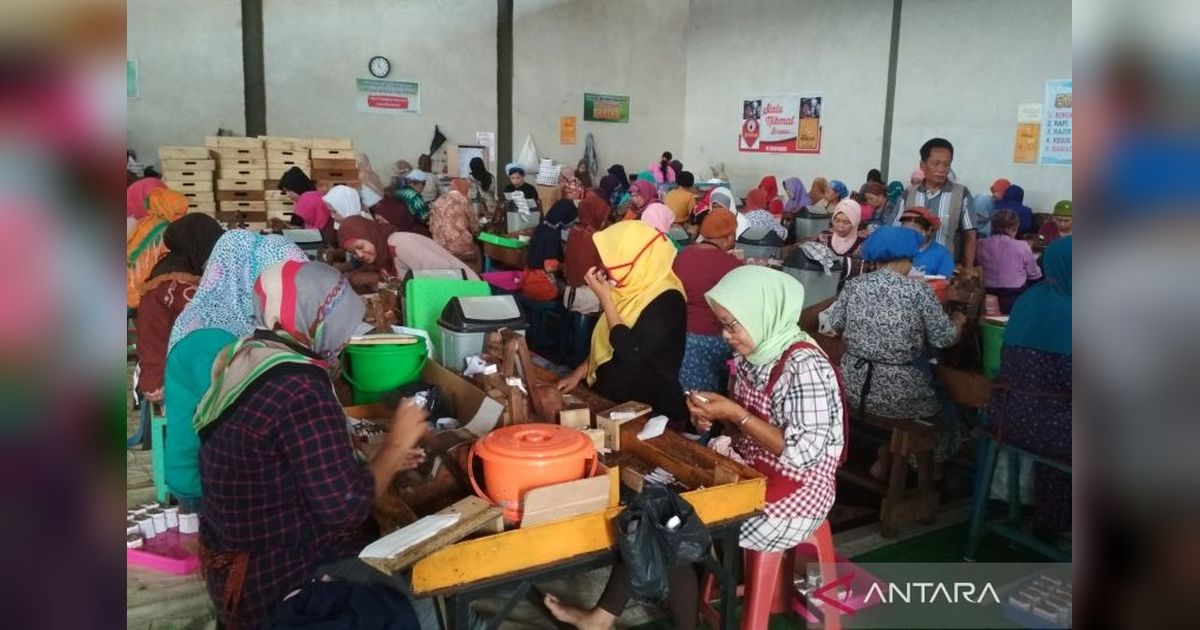 DPR Desak DJBC Tinjau Ulang Tarif Cukai Hasil Tembakau