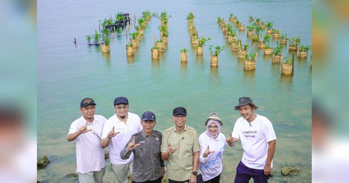 Gubernur Lampung Dorong Penanaman Mangrove untuk Perkuat Ketahanan Pesisir