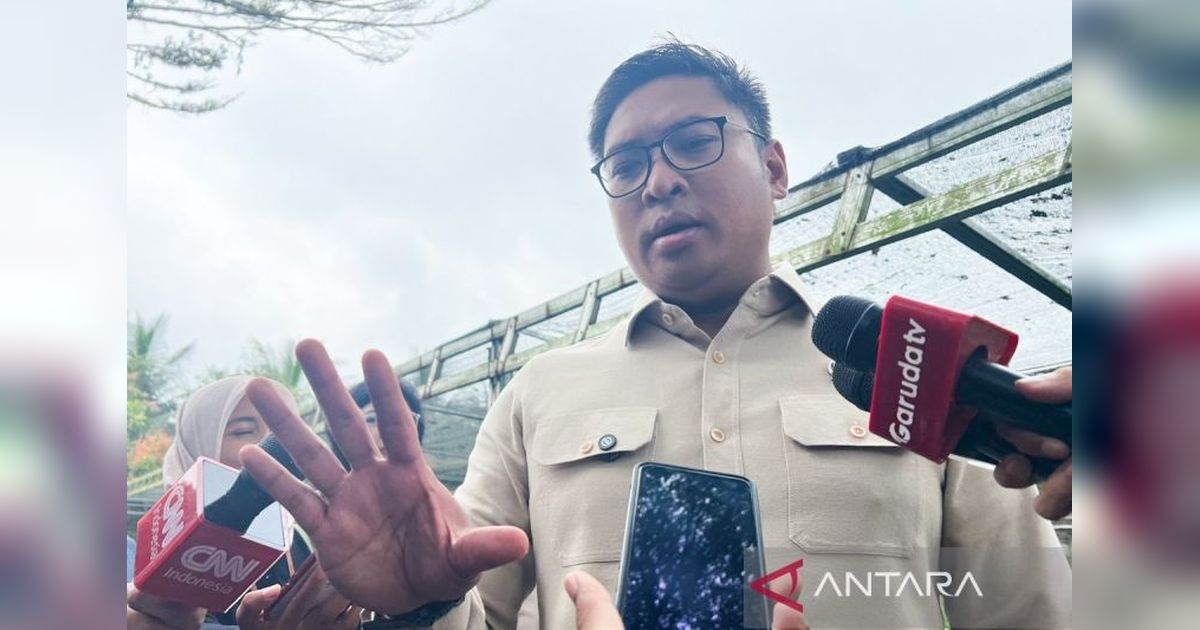 Serapan Gabah Capai 2 Juta Ton, CBP RI Menguat!