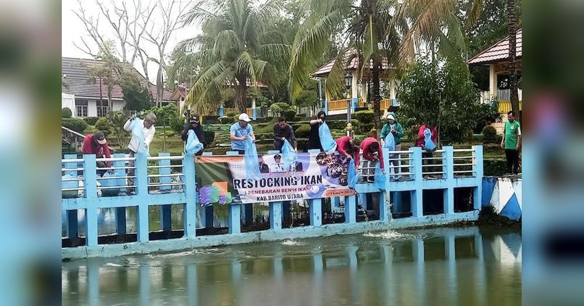 Pemkab Barito Utara Restocking 13.000 Bibit Ikan di Kolam Kantor Bupati